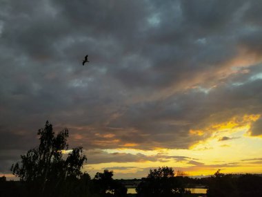 Letonya, Riga, 26.06.2021. Daugava ağzındaki doğa parkında gün batımı..