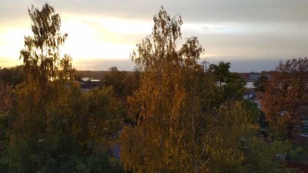 Letland Riga 2021 Herfstbomen Het Riga Park Deze Tijd Van — Stockvideo