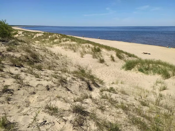 Łotwa 2021 Dzika Plaża Parku Przyrody Nad Morzem Ujścia Rzeki — Zdjęcie stockowe