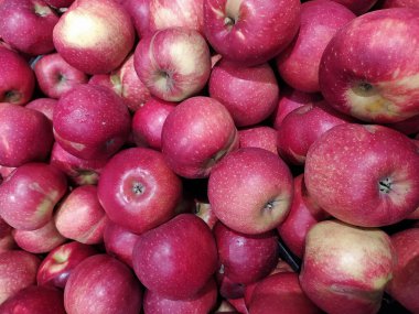 Letonya, Riga, 22.10.2021. Bir kutuda olgun kırmızı elmalar.