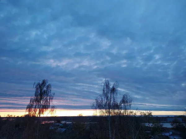 Lettonia Riga 2021 Freddo Cielo Blu Durante Gelo Parco Naturale — Foto Stock
