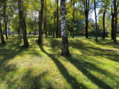 Letonya, Riga, 06.09.2021. Riga 'daki Sonbahar Parkı.