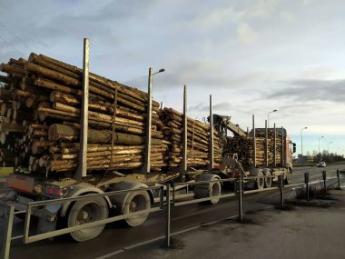 Letonya, Riga, 23.11.2021. Letonya ormanlarından kereste çıkarılıyor. Kereste kamyonu Riga 'da bir marangozluk şirketine gidiyor..