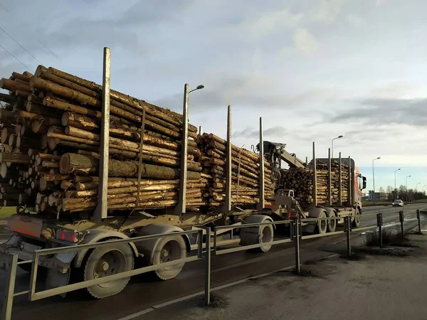 Letonya, Riga, 23.11.2021. Letonya ormanlarından kereste çıkarılıyor. Kereste kamyonu Riga 'da bir marangozluk şirketine gidiyor..