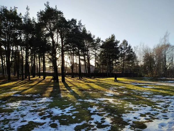Latvia Riga 2022 Warming Early January Melted Snow Riga Park — Φωτογραφία Αρχείου