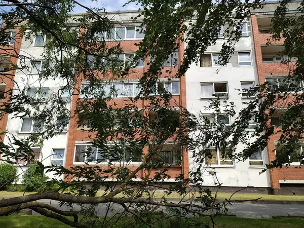 Łotwa Ryga Silny Wiatr Rozbite Drzewa Mikrodzielnicy Bolderaja Rydze — Zdjęcie stockowe