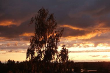 Riga 'daki Bolderaja Doğa Parkı' nda gün batımına karşı bulutlar..