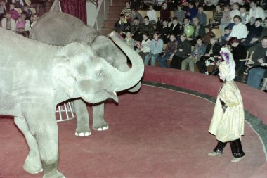 Riga Sirki 'ndeki Anastasia Kornilova filleri (10 / 05 / 1998). Fotoğraf: Anastasia Kornilova ve evcil hayvanları.