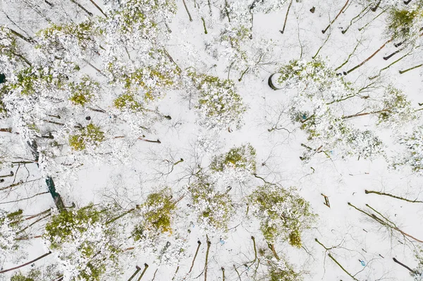 Lua Céu Escuro — Fotografia de Stock