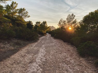 Walk path leading to Es Vedra in Ibiza