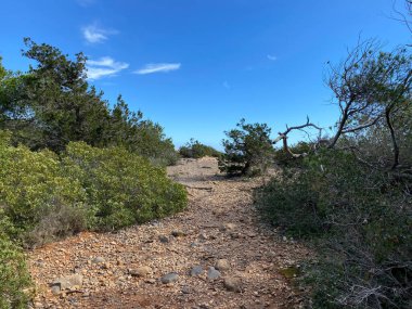 Doğada yürüyüş yolu