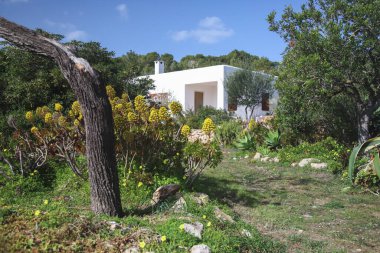Typical Ibicencan house with a garden