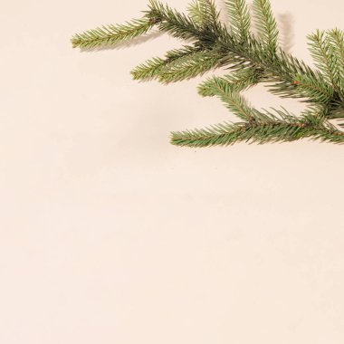 Bej bir arka planda süslemeli au naturel Noel ağacı dalı değil. Minimum düz estetik.