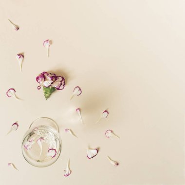 Çiçek yaprakları ve pastel bej arka planda bir bardak asma. Fotokopi alanı olan düz bir yer. Romantik konsept.