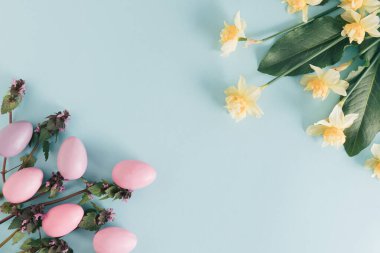 Çiçekli bahar ve Paskalya konsepti ve parlak mavi arka planda Paskalya yumurtaları. Minimum düzlük görüş alanımızda. Kopyalama alanı ile doğa düzenlemesi.
