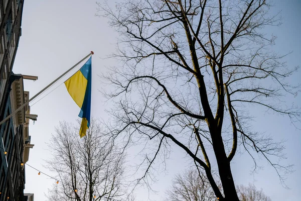 Будівлі Гаазі Нідерланди Вилетів Український Прапор — стокове фото