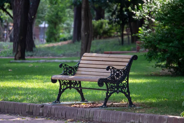 Parkta gün ışığında boş bir ahşap bank.