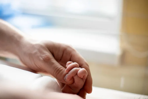 Νεογέννητο Μωρό Πόδια Στο Αρσενικό Χέρια — Φωτογραφία Αρχείου