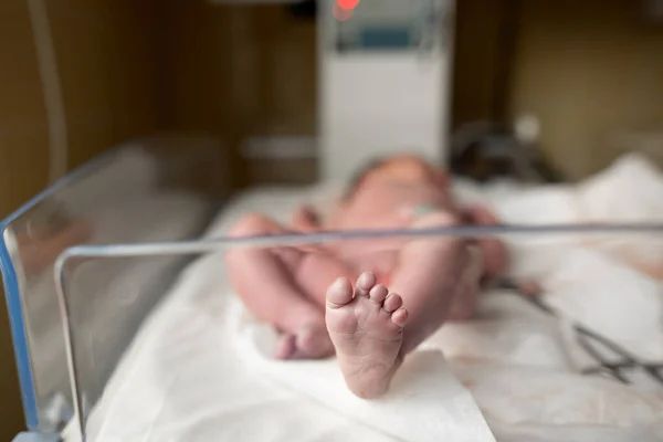 Newborn Baby Asleep Hospital Room — Stock Photo, Image