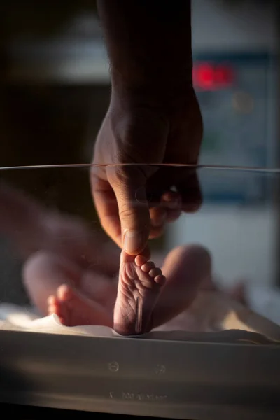 Newborn Baby Foot Male Hand — Stock Photo, Image