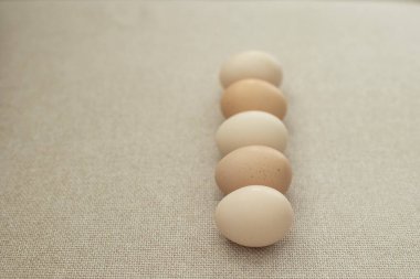 Kahverengi arka planda tavuk yumurtası