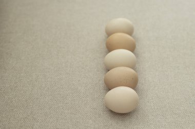 Kahverengi arka planda tavuk yumurtası