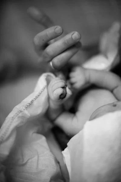 Newborn Baby Holding His Dad Hand — Stock Photo, Image