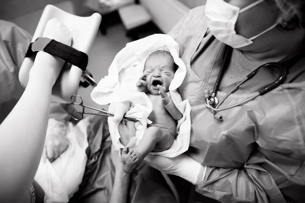 Médico Pediatra Segura Bebê Recém Nascido Seus Braços Sala Parto — Fotografia de Stock