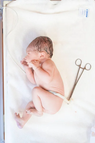 Newborn Baby Lies Incubator Delivery Room Maternity Hospital — Stock Photo, Image