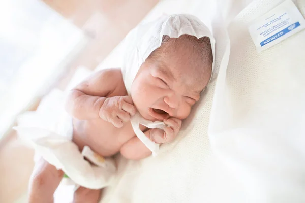 Newborn Baby Lies Incubator Delivery Room Maternity Hospital — Stock Photo, Image