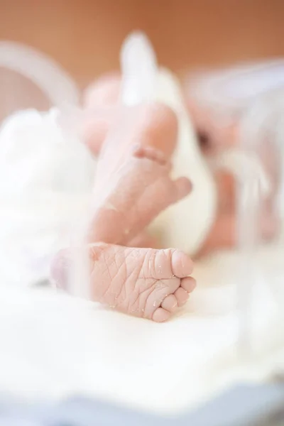 Legs Heels Newborn Baby Which Lies Incubator Delivery Room Maternity — Stock Photo, Image