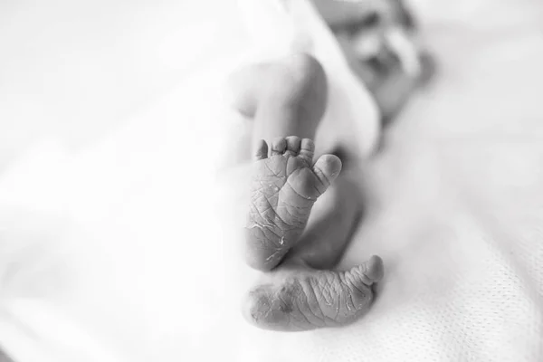 Legs Heels Newborn Baby Which Lies Incubator Delivery Room Maternity — Stock Photo, Image