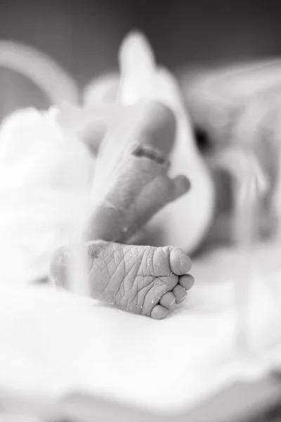 Ноги Каблуки Новорожденного Ребенка Который Лежит Инкубаторе Родильном Отделении — стоковое фото
