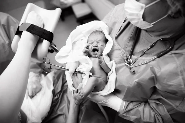 Doctor Pediatrician Holds Newborn Baby Her Arms Delivery Room Stock Picture