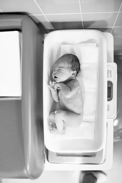 Newborn Baby Lies Electronic Weights Delivery Room Maternity Hospital Doctor Stock Image