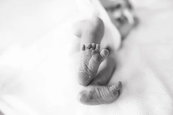 Legs Heels Newborn Baby Which Lies Incubator Delivery Room Maternity Stock Photo