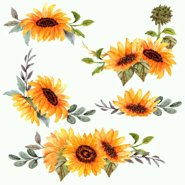 Hand Drawn Set Sunflower Compostion — Stock Vector