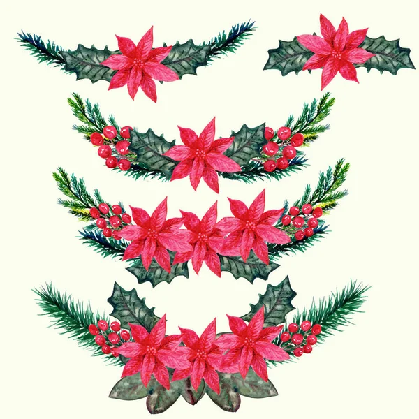 Hand Drawn Set Poinsettia Christmas Arrangement — Stock Vector