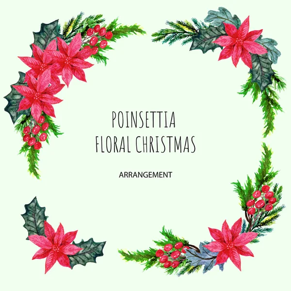 Hand Drawn Set Poinsettia Floral Christmas Arrangement — Διανυσματικό Αρχείο