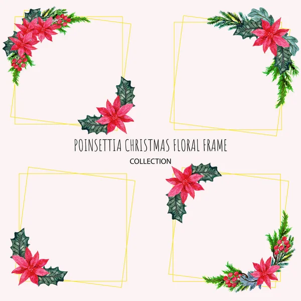 Hand Drawn Set Poinsettia Christmas Frame — Stock Vector