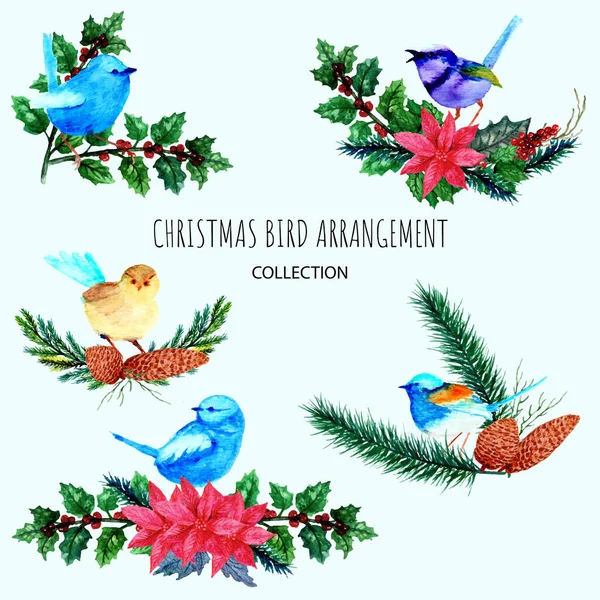 Hand Drawn Set Christmas Bird — Stock Vector