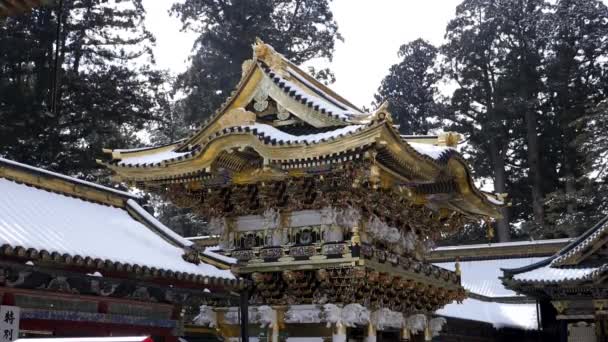 Golden gate Yomeimon in snowy Nikko during winter, Japan. — Stok Video