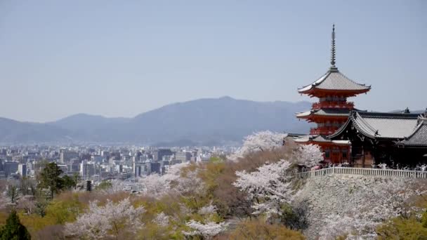 La pagode du temple bouddhiste Kiyomizu-Dera à Kyoto, Japon — Video