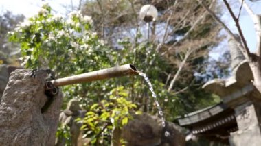 Geleneksel Japon bahçesinde akan bambu suyu, Kyoto.