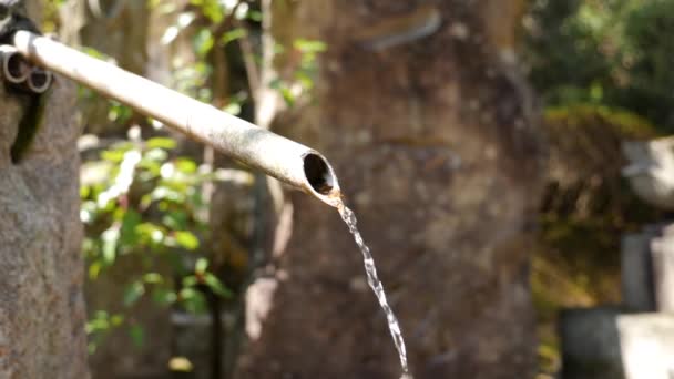 Air yang mengalir dari bambu di taman tradisional Jepang, Kyoto. — Stok Video