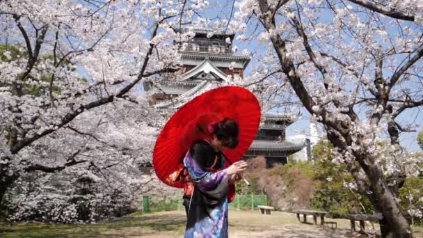 Chica japonesa en un kimono con un paraguas. Flor de cerezo y castillo de Hiroshima. — Vídeo de stock