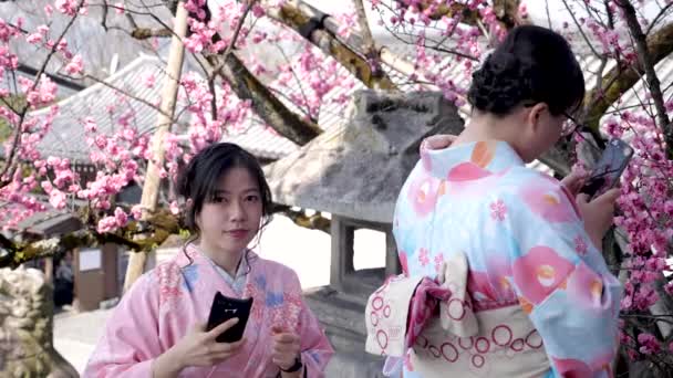 Jeune belle fille japonaise agissant à un appareil photo sous un arbre de fleur de cerisier. — Video