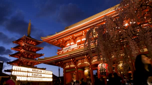 Japansk pagoda och hozomonport vid senso-ji-helgedomen i Tokyo under solnedgången. — Stockvideo