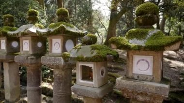 Japonya, Nara 'daki Kasuga-taisha tapınağında taş fenerler.. 