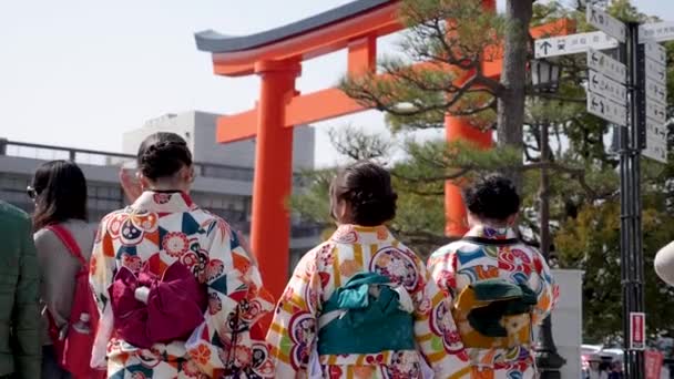 Три японки идут к воротам Тори в Киото, Япония. — стоковое видео